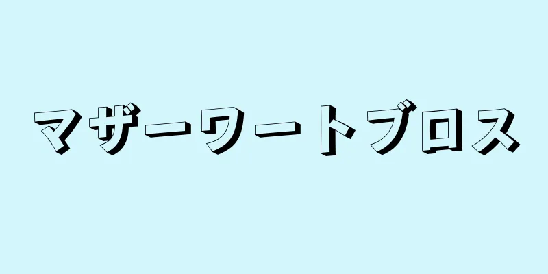 マザーワートブロス