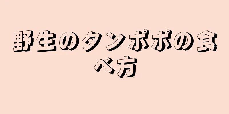 野生のタンポポの食べ方