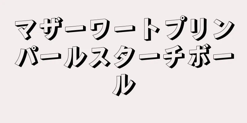 マザーワートプリンパールスターチボール