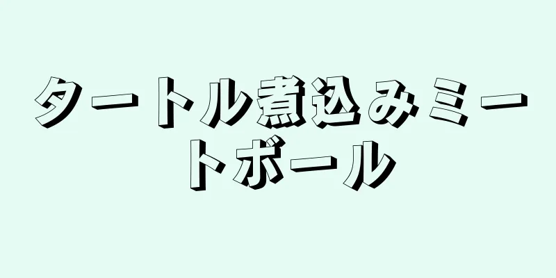 タートル煮込みミートボール