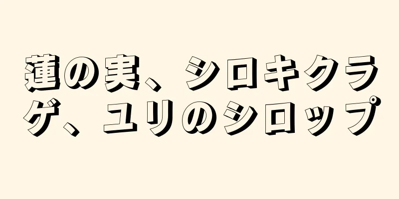 蓮の実、シロキクラゲ、ユリのシロップ