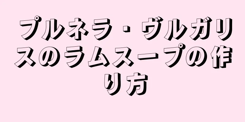 プルネラ・ヴルガリスのラムスープの作り方