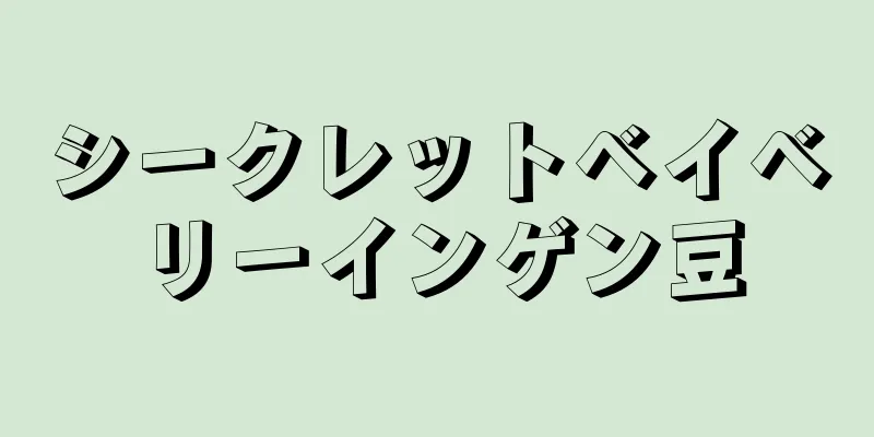 シークレットベイベリーインゲン豆