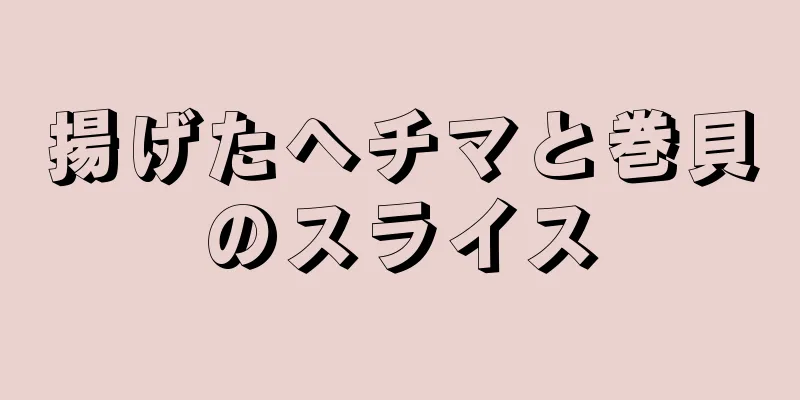 揚げたヘチマと巻貝のスライス