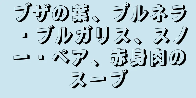 ブザの葉、プルネラ・ブルガリス、スノー・ペア、赤身肉のスープ