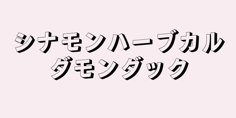 シナモンハーブカルダモンダック