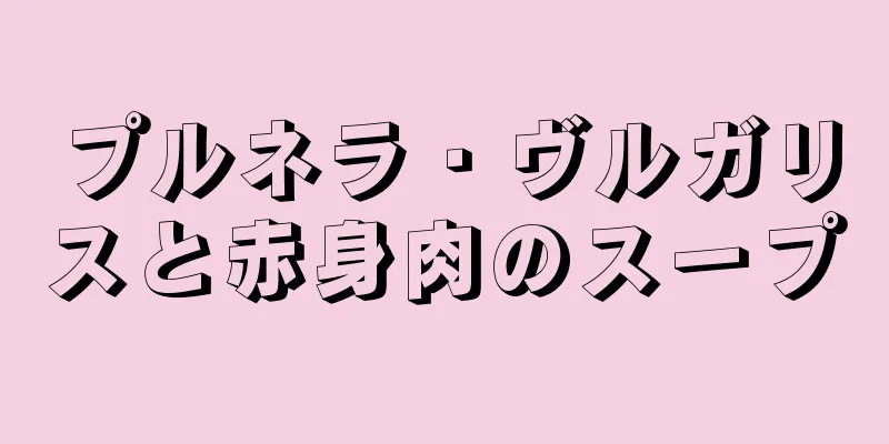 プルネラ・ヴルガリスと赤身肉のスープ