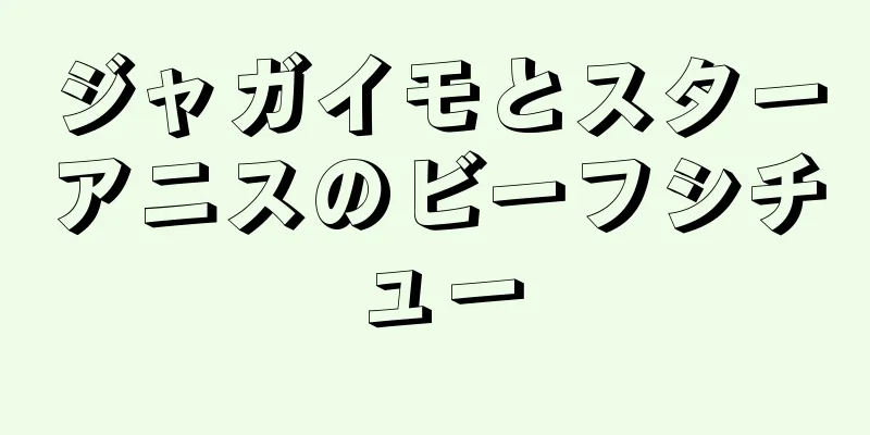 ジャガイモとスターアニスのビーフシチュー