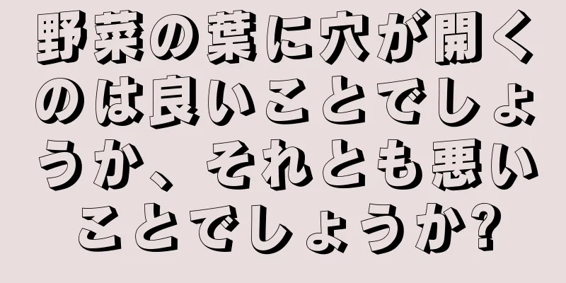 野菜の葉に穴が開くのは良いことでしょうか、それとも悪いことでしょうか?