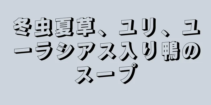 冬虫夏草、ユリ、ユーラシアス入り鴨のスープ