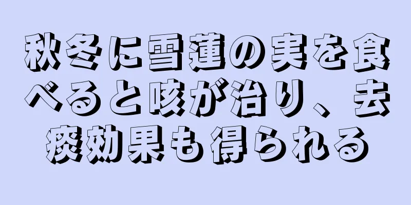 秋冬に雪蓮の実を食べると咳が治り、去痰効果も得られる