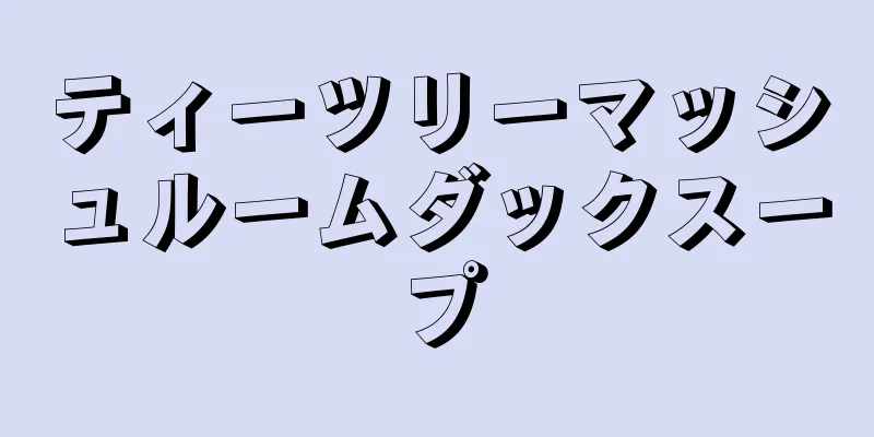 ティーツリーマッシュルームダックスープ