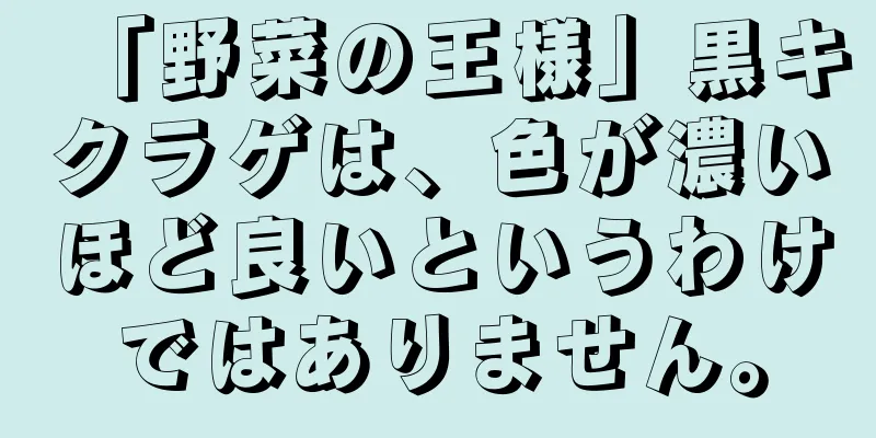 「野菜の王様」黒キクラゲは、色が濃いほど良いというわけではありません。