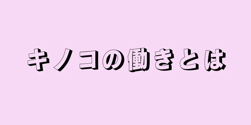 キノコの働きとは