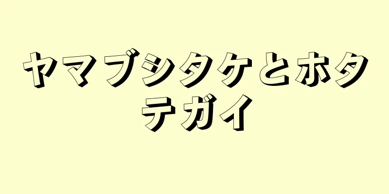 ヤマブシタケとホタテガイ