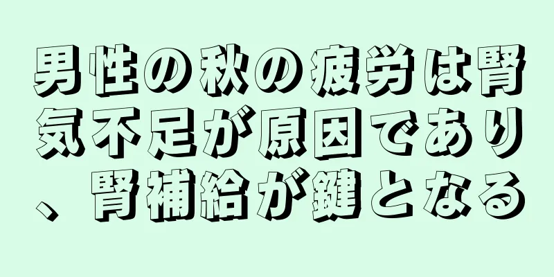 男性の秋の疲労は腎気不足が原因であり、腎補給が鍵となる