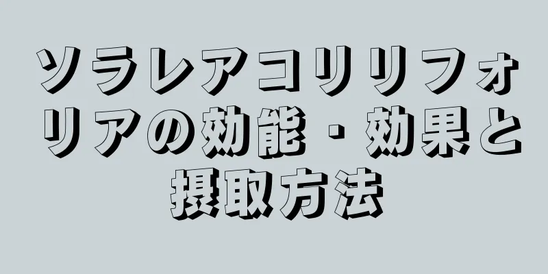 ソラレアコリリフォリアの効能・効果と摂取方法