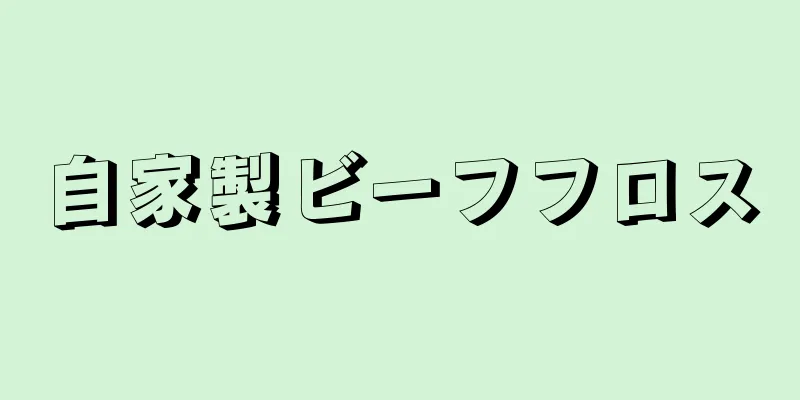 自家製ビーフフロス