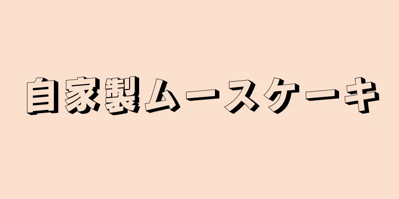 自家製ムースケーキ