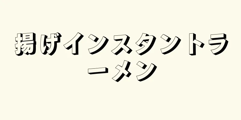 揚げインスタントラーメン