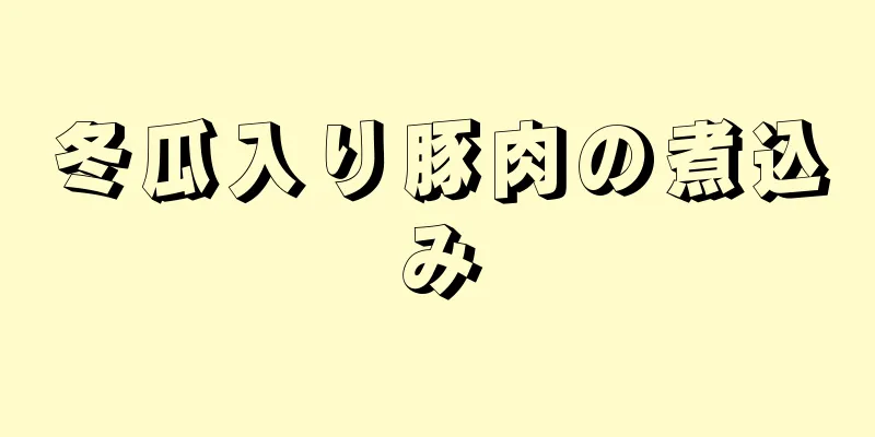 冬瓜入り豚肉の煮込み