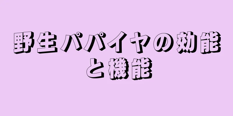 野生パパイヤの効能と機能