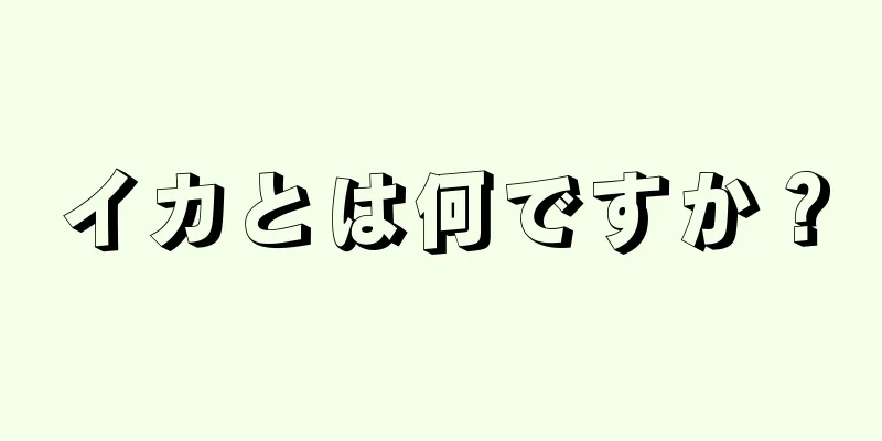 イカとは何ですか？