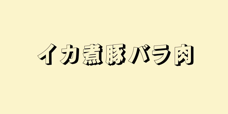 イカ煮豚バラ肉