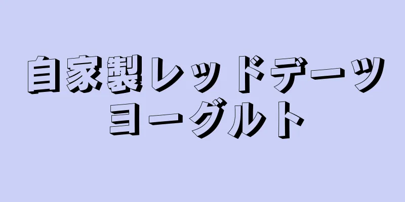 自家製レッドデーツヨーグルト