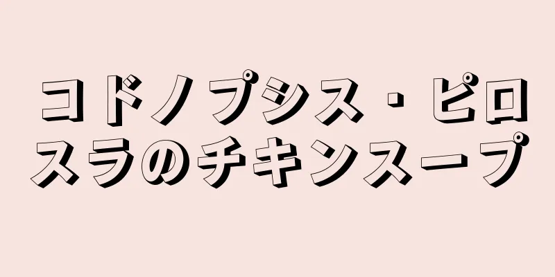 コドノプシス・ピロスラのチキンスープ