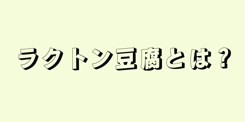 ラクトン豆腐とは？