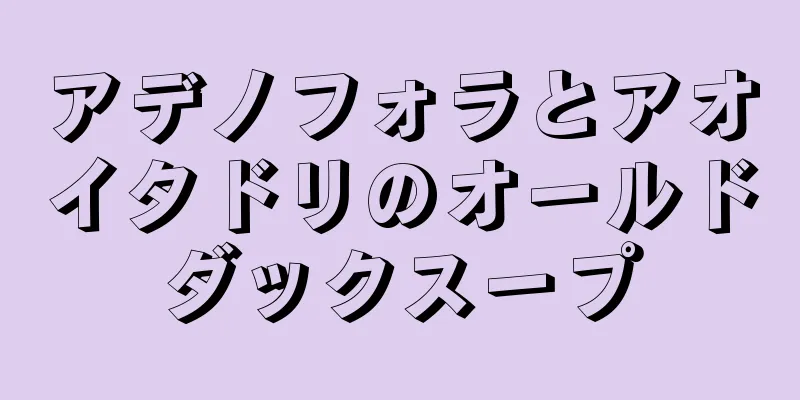 アデノフォラとアオイタドリのオールドダックスープ