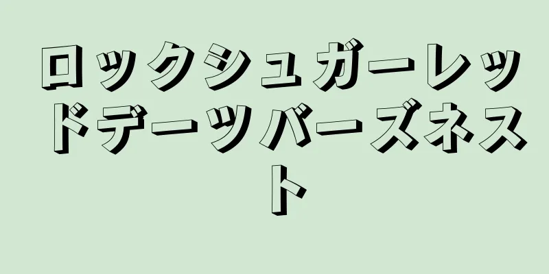 ロックシュガーレッドデーツバーズネスト