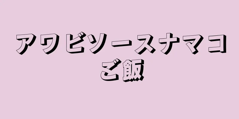 アワビソースナマコご飯