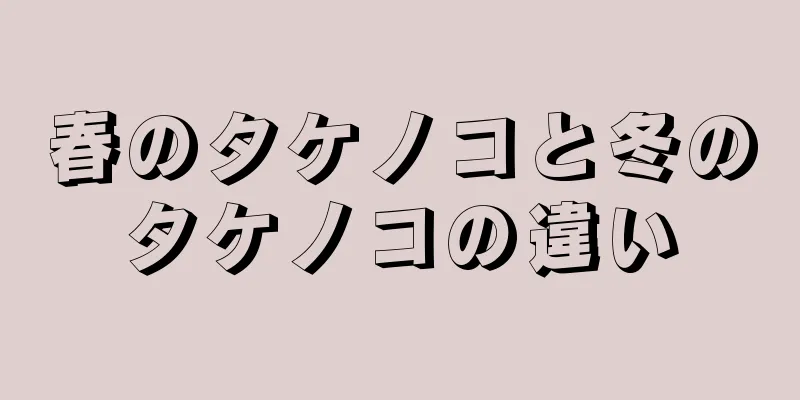 春のタケノコと冬のタケノコの違い