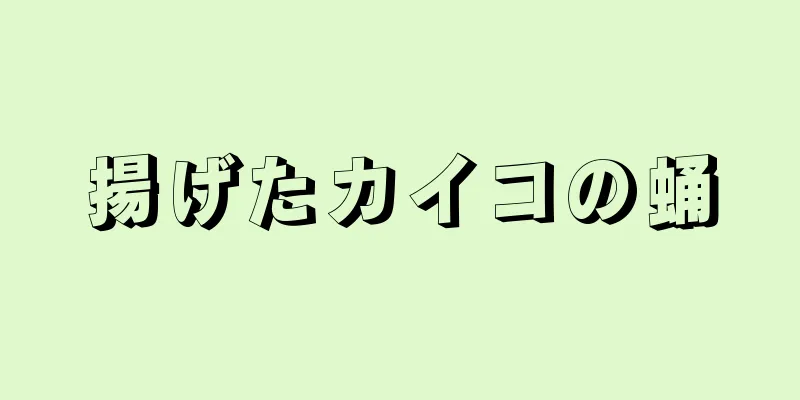 揚げたカイコの蛹