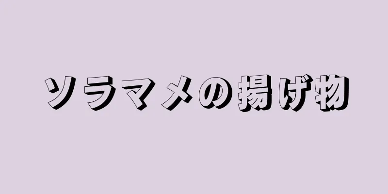 ソラマメの揚げ物