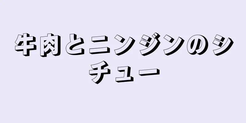 牛肉とニンジンのシチュー