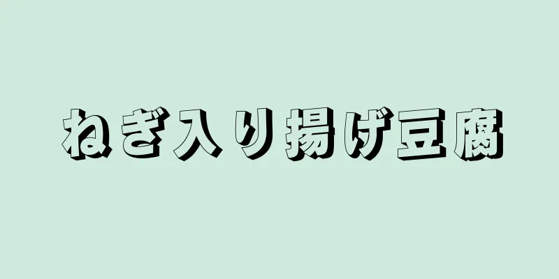 ねぎ入り揚げ豆腐