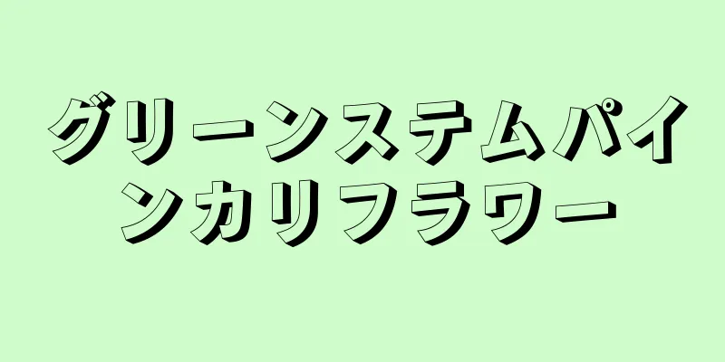 グリーンステムパインカリフラワー