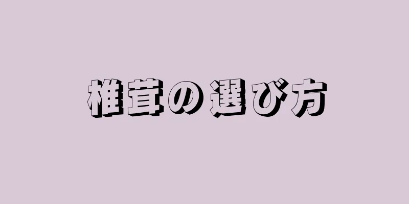 椎茸の選び方