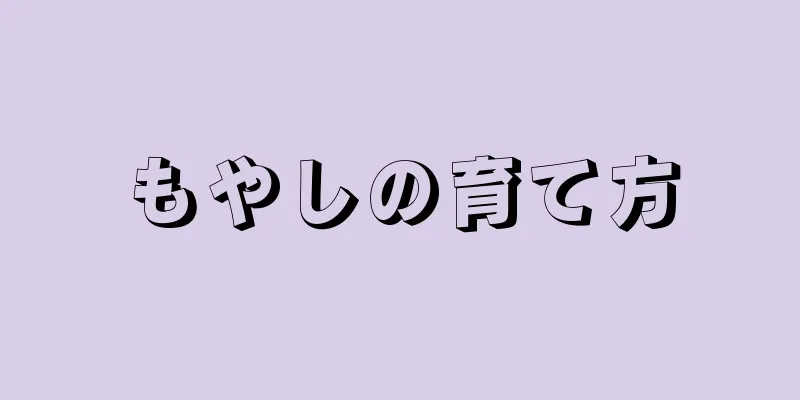 もやしの育て方