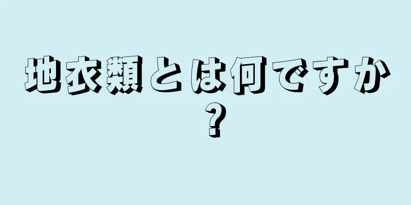 地衣類とは何ですか？