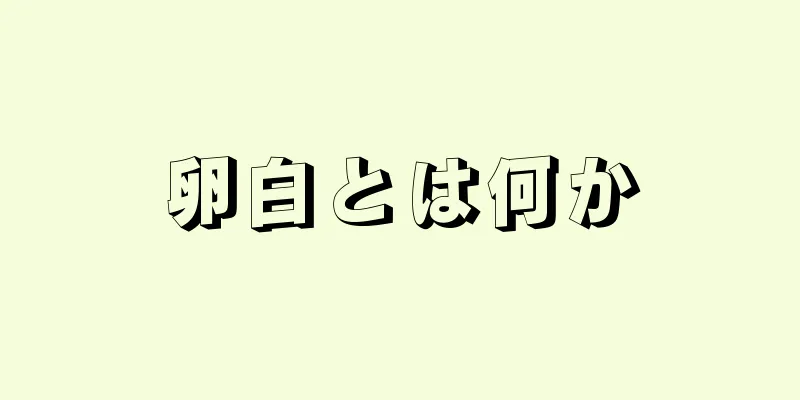 卵白とは何か