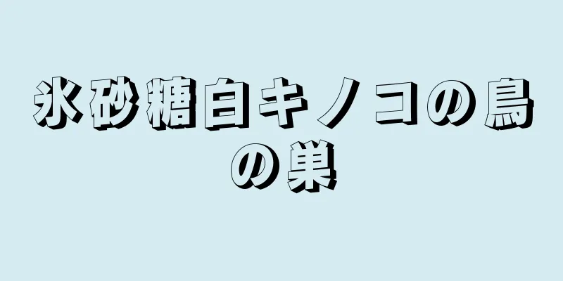 氷砂糖白キノコの鳥の巣