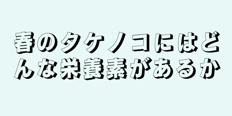 春のタケノコにはどんな栄養素があるか