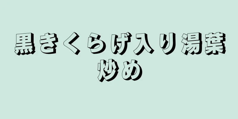 黒きくらげ入り湯葉炒め