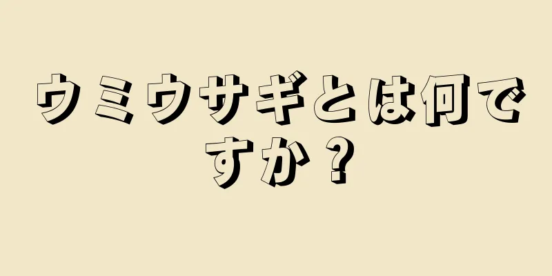 ウミウサギとは何ですか？