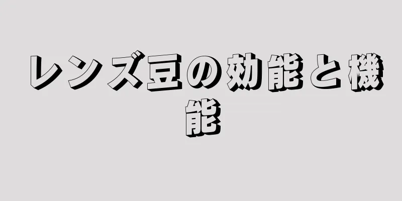 レンズ豆の効能と機能