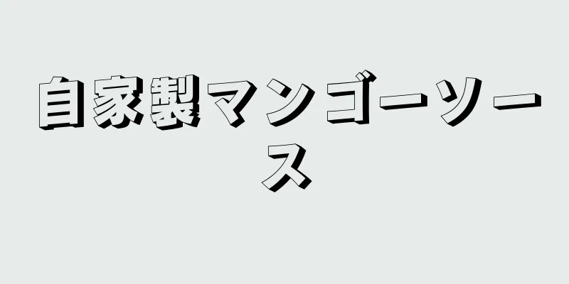 自家製マンゴーソース